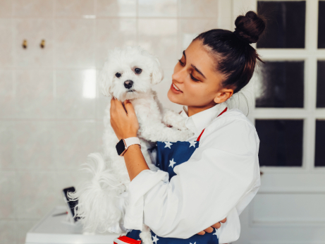 PET GROOMING SERVICE