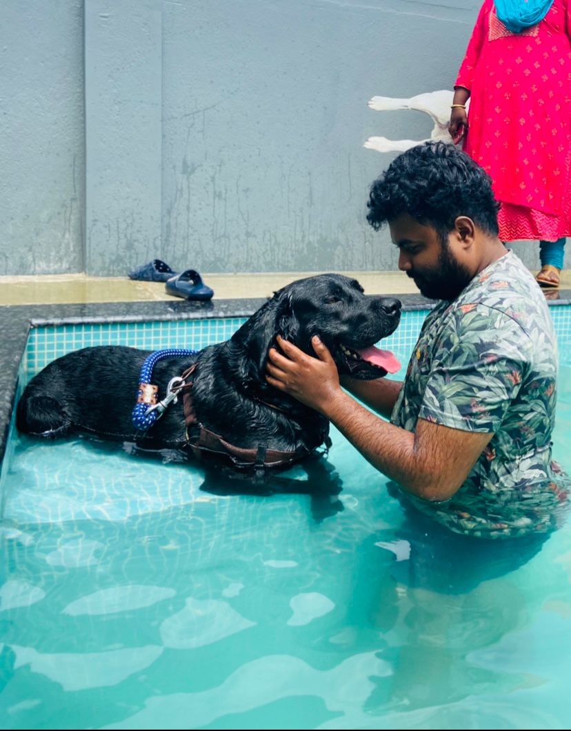 Vacation for Your Pets at RC Pet Resort